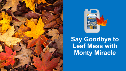 Fall Cleanup: Say Goodbye toe Leaf Mess with Monty Miracle