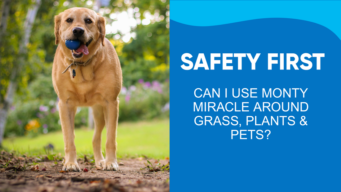 Safety First! Can I use Monty Miracle around grass, plants & pets?
