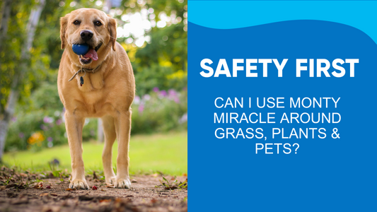 Safety First! Can I use Monty Miracle around grass, plants & pets?