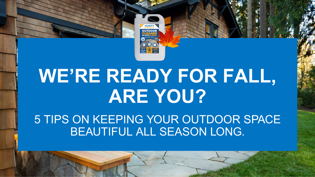 5 Tips to Keep Your Outdoor Space Looking Beautiful All Season Long